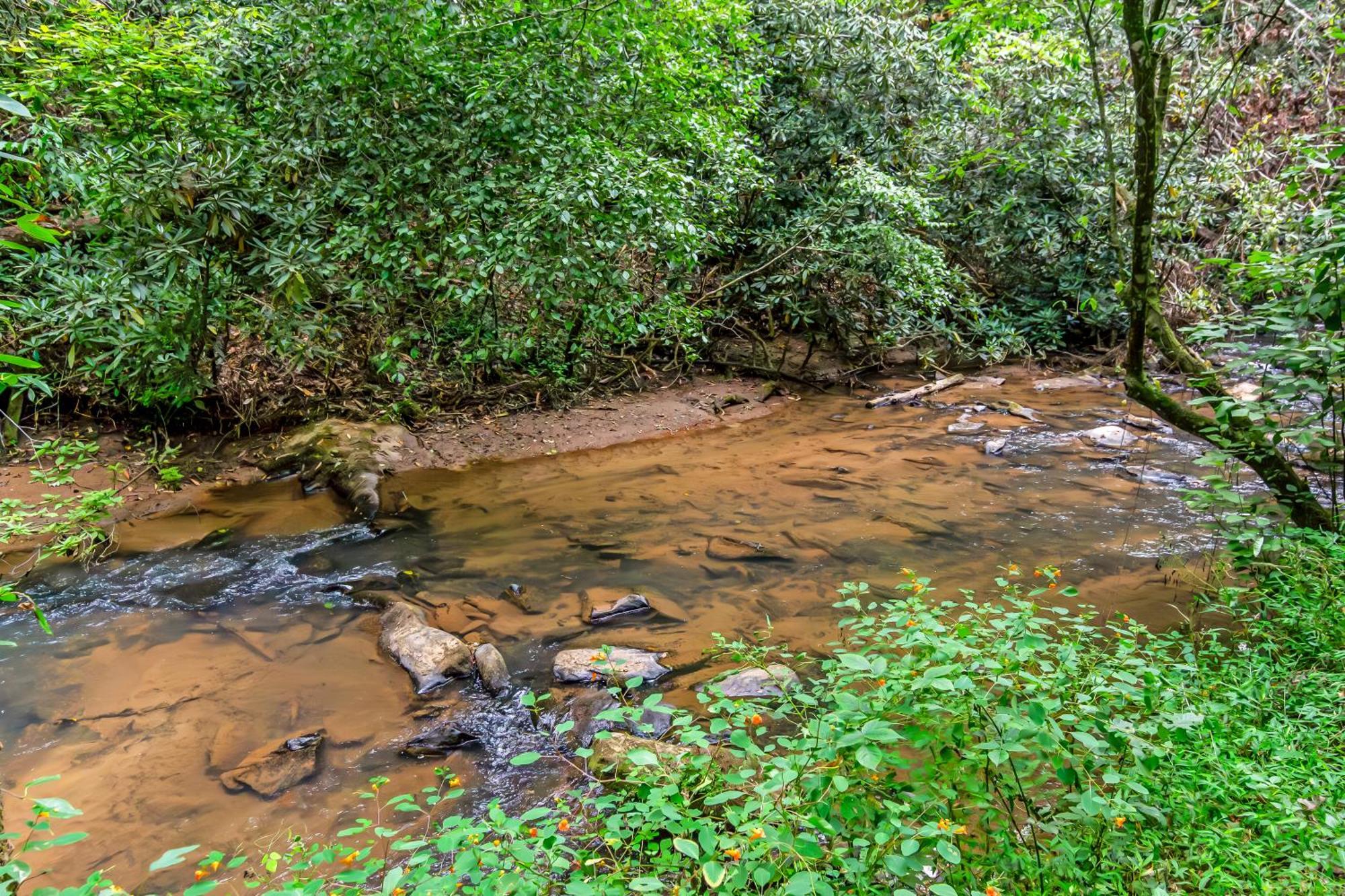 Amazing Creek View Cabin W/ Hot Tub, Firepit & Pool Table Елліджей Екстер'єр фото