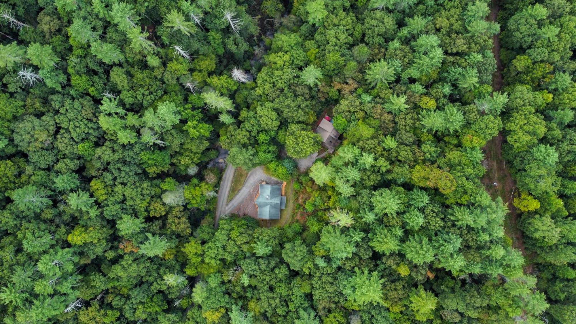 Amazing Creek View Cabin W/ Hot Tub, Firepit & Pool Table Елліджей Екстер'єр фото